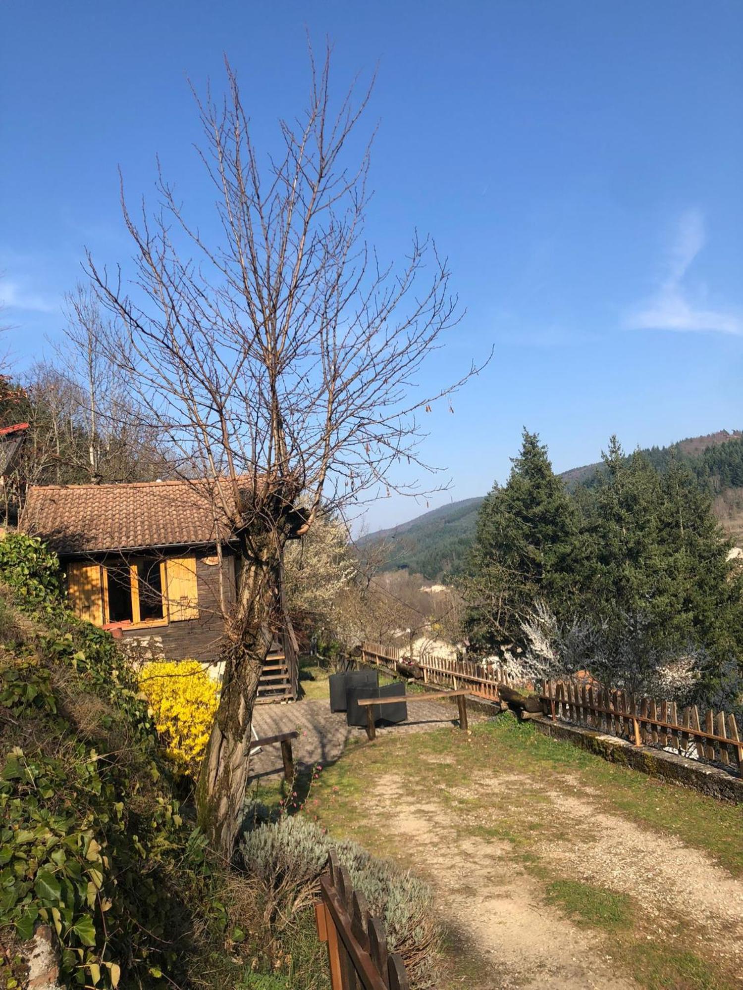 Chalet Les Accacias Vocance Dış mekan fotoğraf