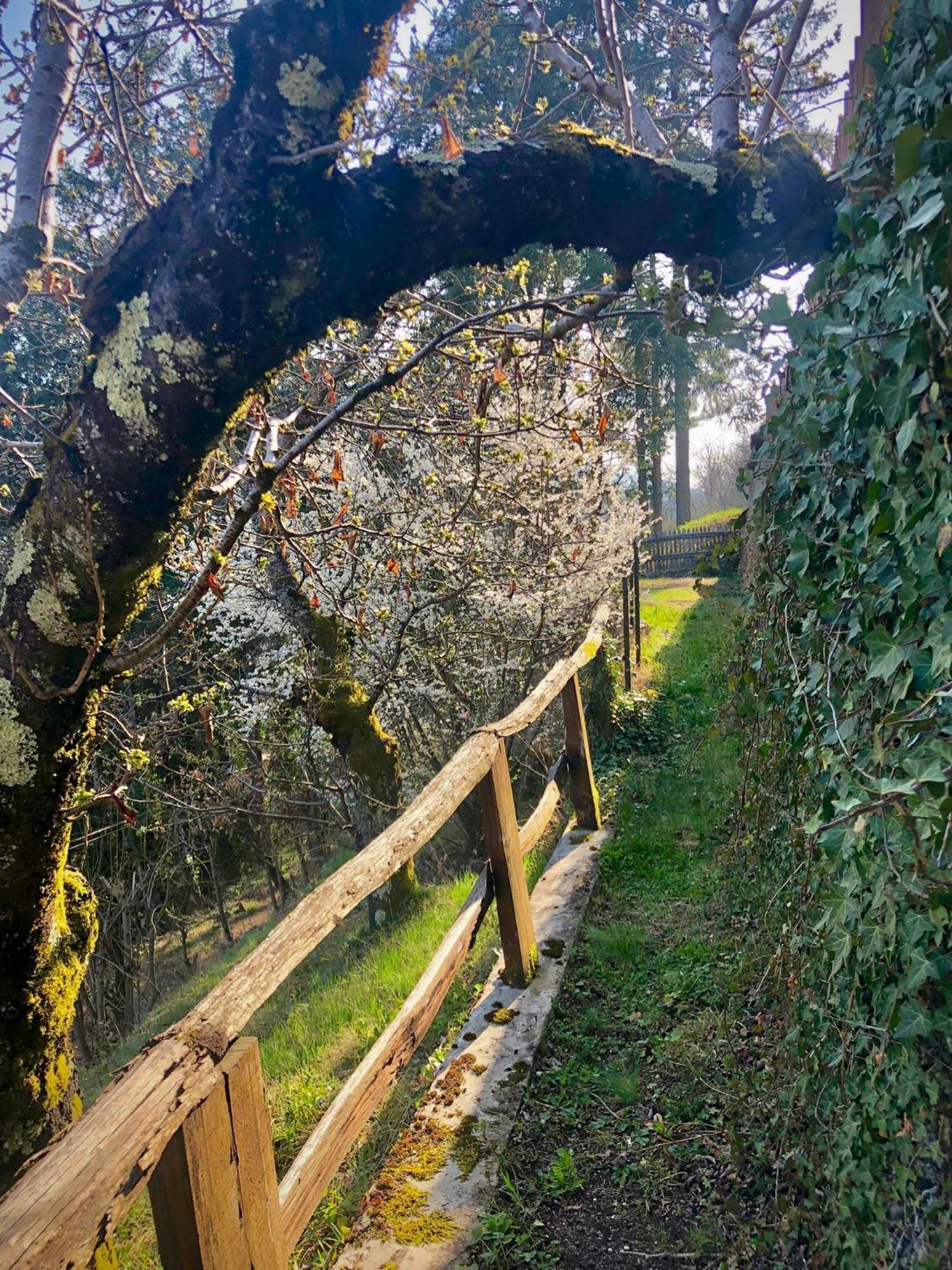 Chalet Les Accacias Vocance Dış mekan fotoğraf